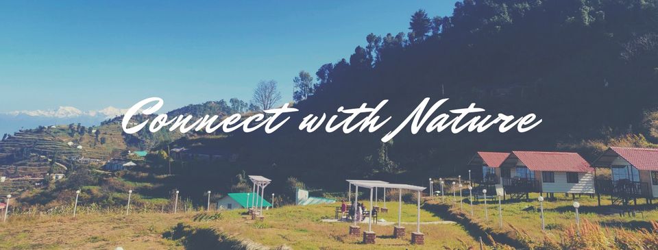 The Hillside Cottages